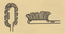 歯ブラシ取替時期