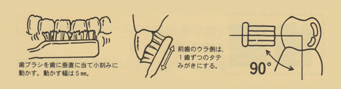歯ブラシの動かし方